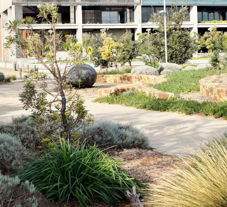Picture of Frankston Foreshore Redevelopment,  VIC