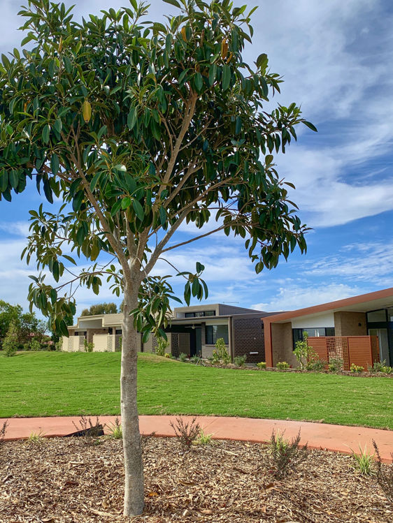 Picture of The Village, Taigum QLD