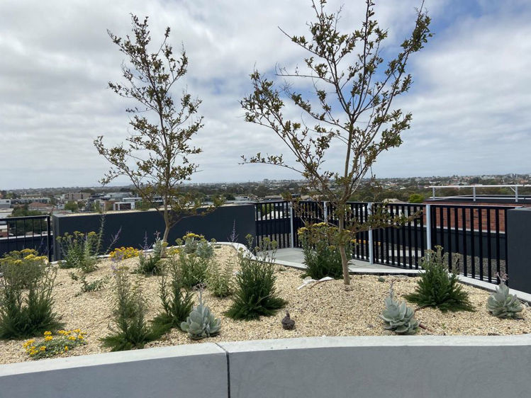 Picture of East Brunswick Village VIC