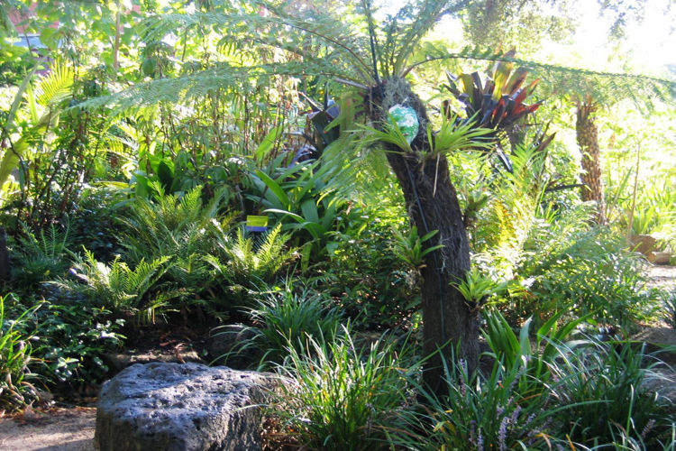 Picture of The Ian Potter Foundation Children's Garden, Royal Botanic Gardens, Melbourne VIC