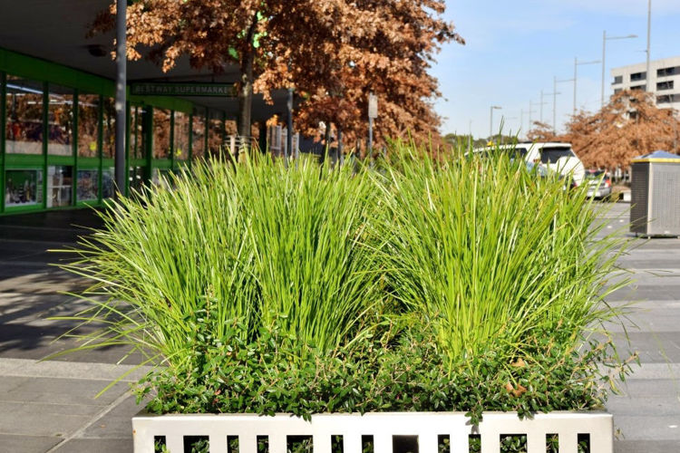 Picture of Lonsdale St Boulevard Dandenong Upgrade, VIC