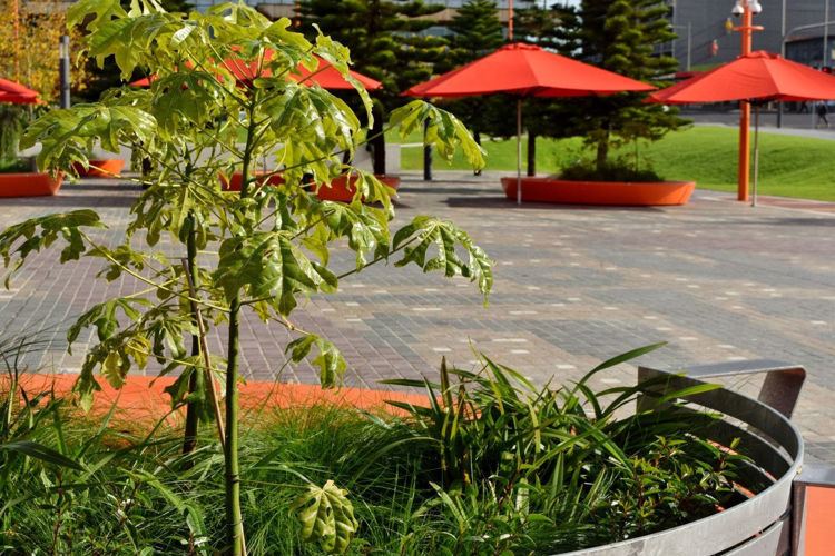 Picture of Lonsdale St Boulevard Dandenong Upgrade, VIC