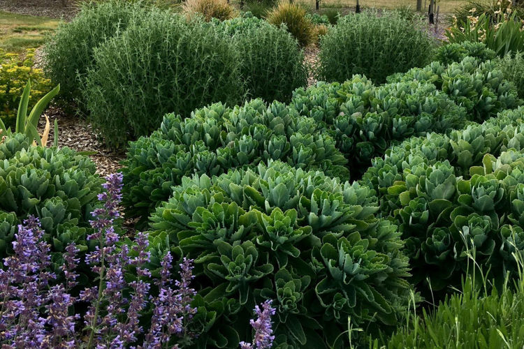 Picture of Private Residence, Cambrian Hill VIC