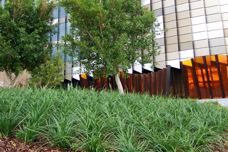 Picture of Tower 5, Docklands VIC