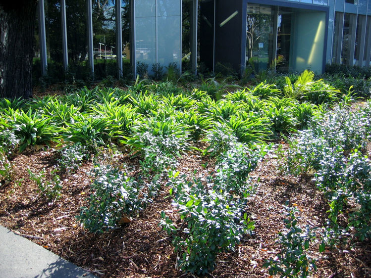 Picture of Zinc, Federation Square VIC