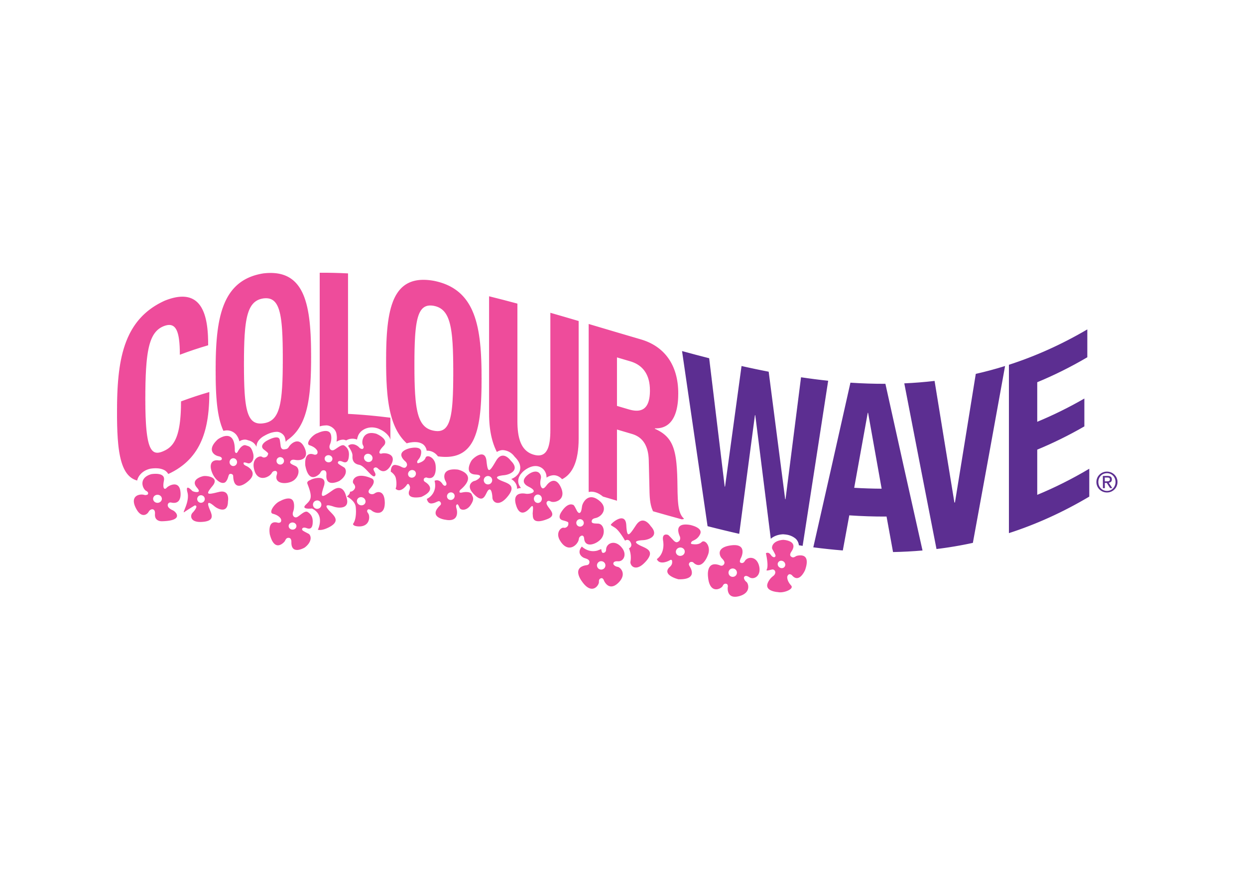 Cordyline brasiliensis Pink Joy Wholesale Nursery Nurseries in