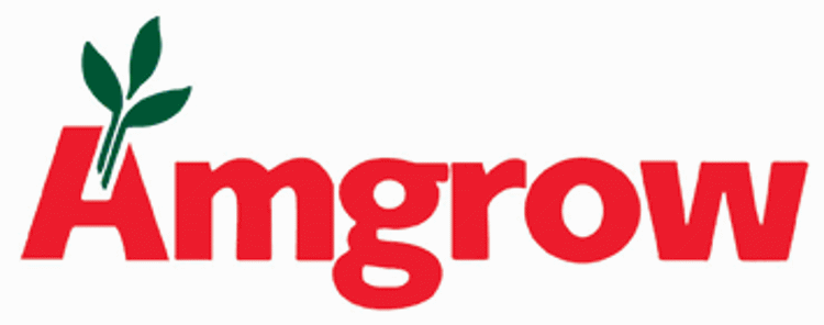 AmgAPF-10