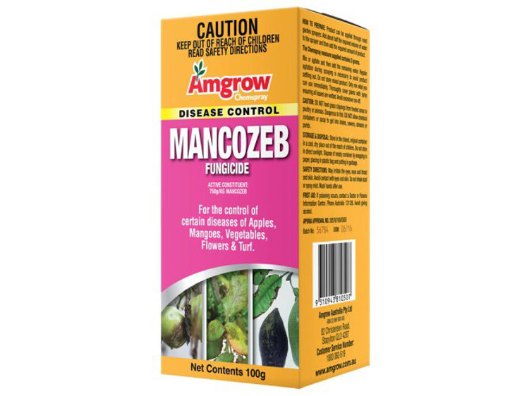 AmgMF-1