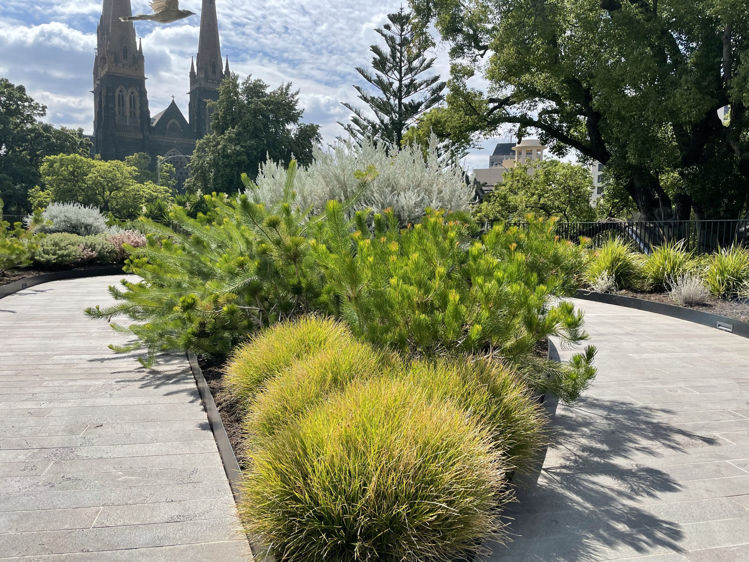Picture of Parliament House, Melbourne VIC