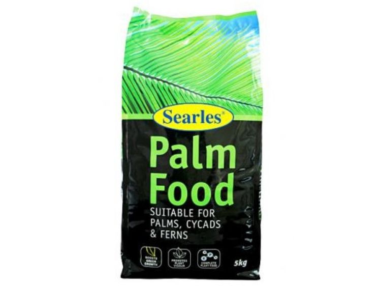 Picture of Searles Palm Cycad Fern Plant Food