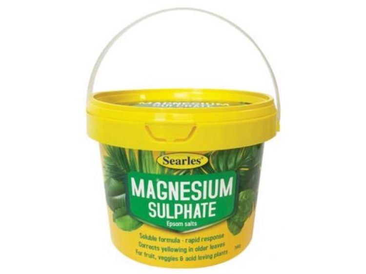Picture of Searles Magnesium Sulphate