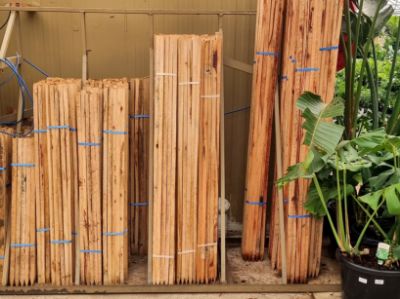 Picture of Hardwood Stake PK10