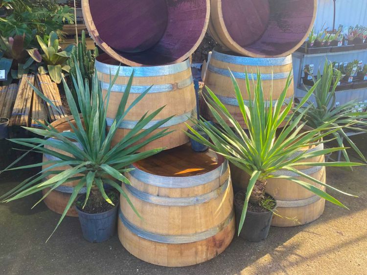 Picture of Wine Barrel Half